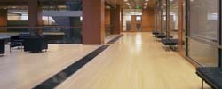 Office wood floor example